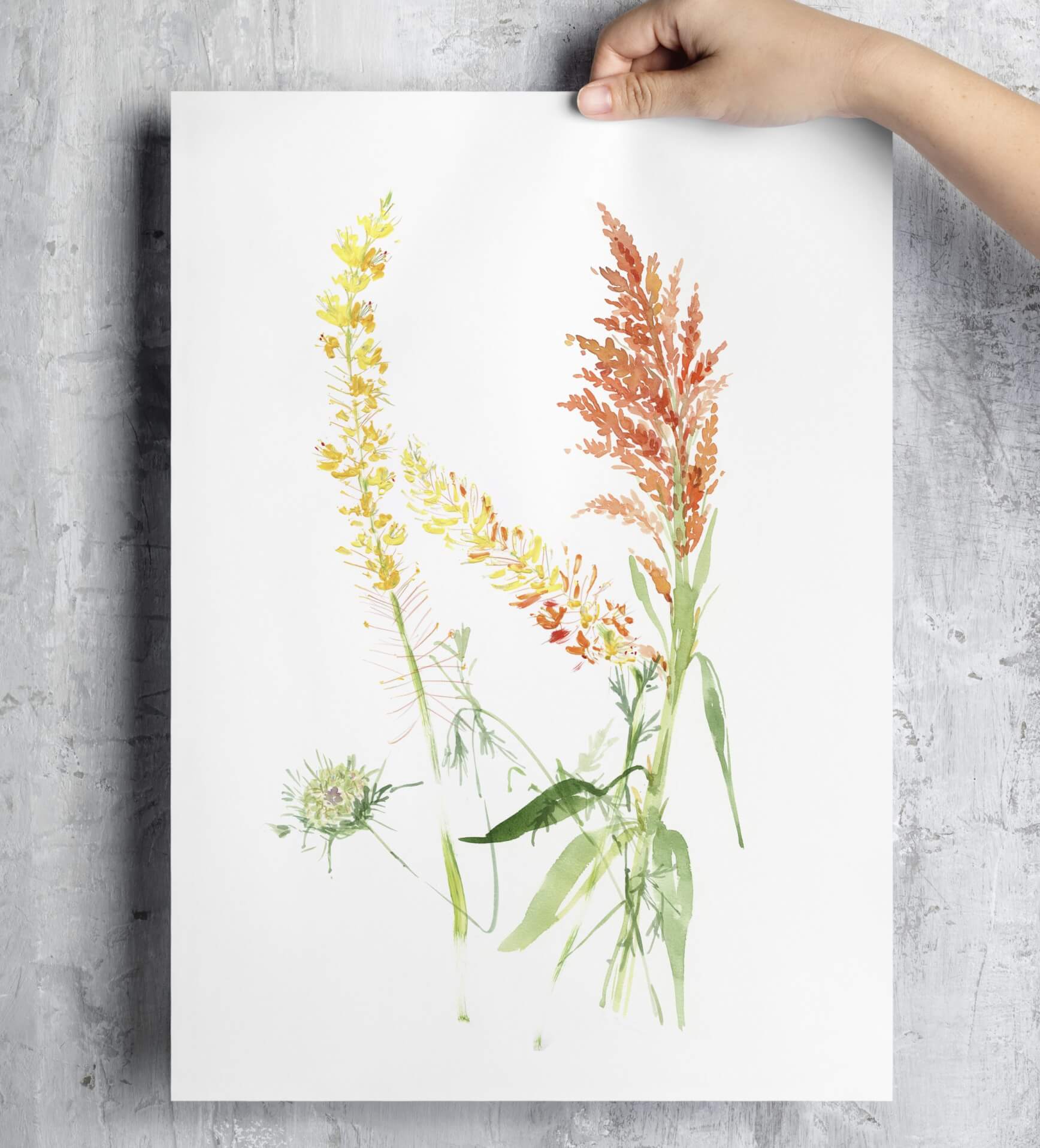 Wild Meadow Poster